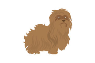 Brown Havanese Dog: A Designer’s Real-World Embroidery Review