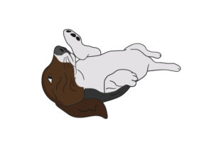 Dog Laying on Its Back