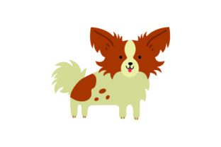 Small Dog with Big Ears